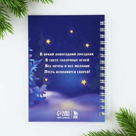 Gift New Year's set "For the Little Princess", pen, notebook A6, 40 liters-4