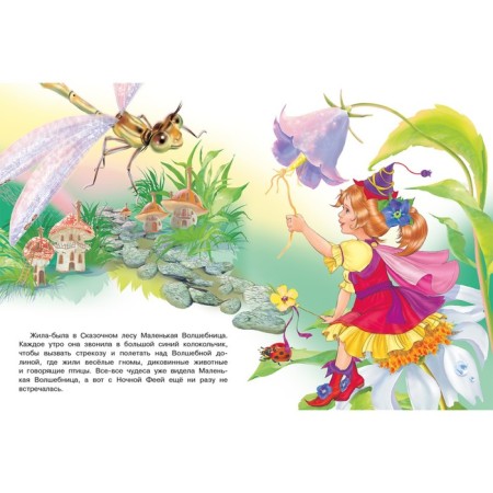 Princesses. Magic dreams. Gurina I.V.-2