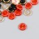 Buttons plastic for creativity on the leg "with pearl" color mix set 30 pcs 1.2x1.2 cm 94135
