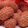 Seed potatoes "Mirage" 2 kg super elite, r/r 28/55