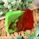 SPA soap - care for the bath and sauna "Flowers of Magnolia" Dobroparov Handmade 80 grams