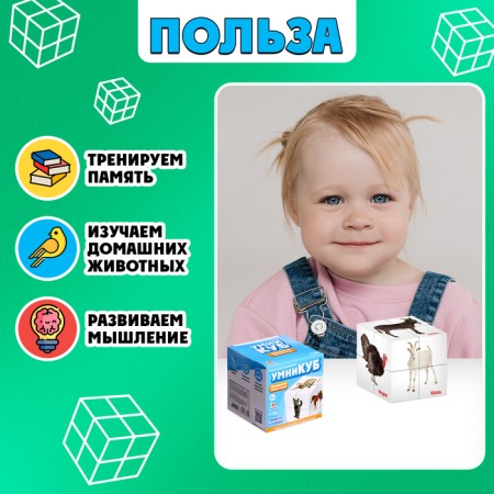 Developing transformer "smartik: pets"-1
