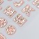 Plastic sticker "English alphabet and numbers. Leopard" 31x14 cm