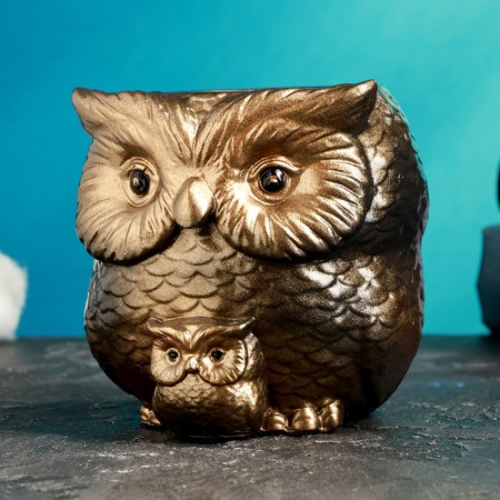 Figure Kashpo "Owl with the Council" Bronze, 9cm-1