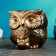 Figure Kashpo "Owl with the Council" Bronze, 9cm