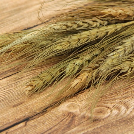 Dry Colossus of wheat, set 20 pcs.-1