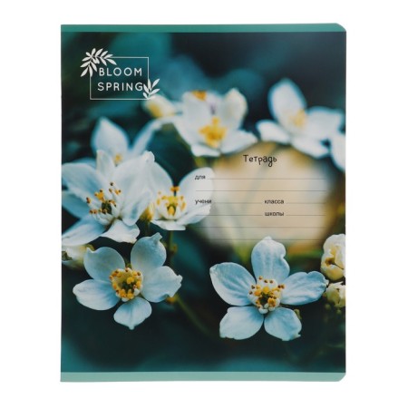 Notebook 18 sheets in the "Girls" line, cover coated cardboard, offset unit, mix-6