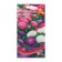 Flowers of the Astra dwarf "Milady" mixture, o, 90 pcs