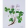 Flowers in pictures. A visual aid for teachers, speech therapists, educators and parents