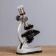 Microscope with a projector, a multiplicity of an increase in 50-1200x, with backlight,