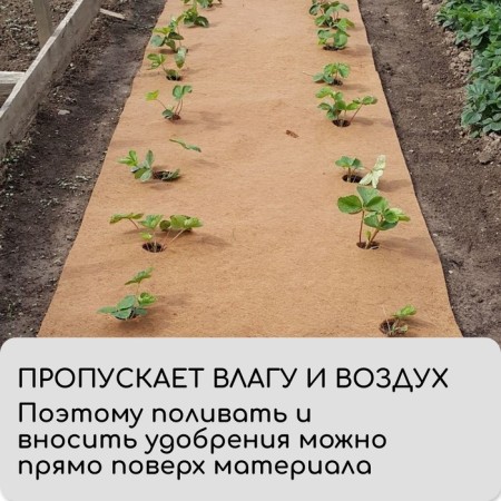 Coconut canvas for mulching, 6 × 0.75 m, "Mulchagram"-4