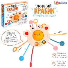 Developing toy 