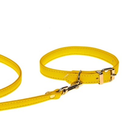 Set of collar (26-34x1.4 cm) and leash (120x1 cm) from eco-leather, yellow-1