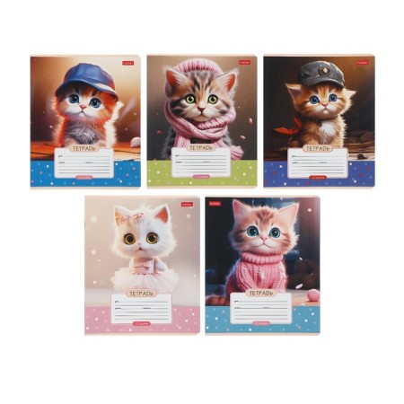 Notebook 12 sheets in a cage on the paper clip "We are cats!", Mix
