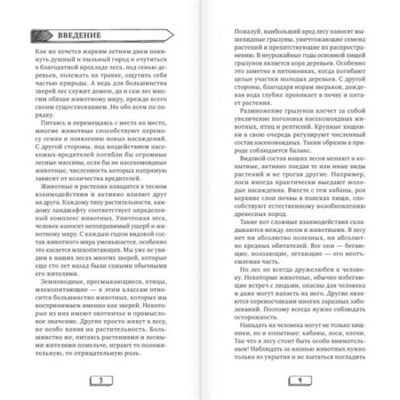 Животные и птицы. Дикие обитатели русского леса. Куценко М. Е.-1