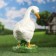 Garden figure "Big goose on the stand" 38x33cm