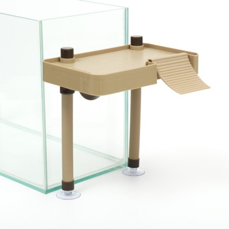 NomoyPet reptiles on adjustable supports, 20 x 11.8 x 22 cm