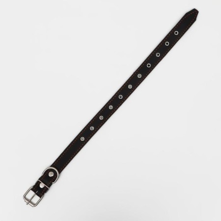 Leather collar on synthetic winterizer, dimensionless, 65 x 3 cm, Osh 22-55 cm, black-2
