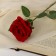 Artificial flowers "Bolivian rose" 8x55 cm, red