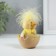 Souvenir Polystone "Yellow Tsypushka in the shell" 6x6x8 cm