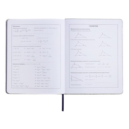 School diary for grades 1-11 "Cherry", solid cover with foam rubber, artificial leather, applique, lies, 48 ​​sheets, handle in the kit, block 70g/m2-12
