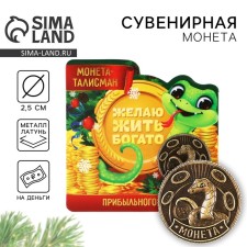 Coin New Year's amulet 