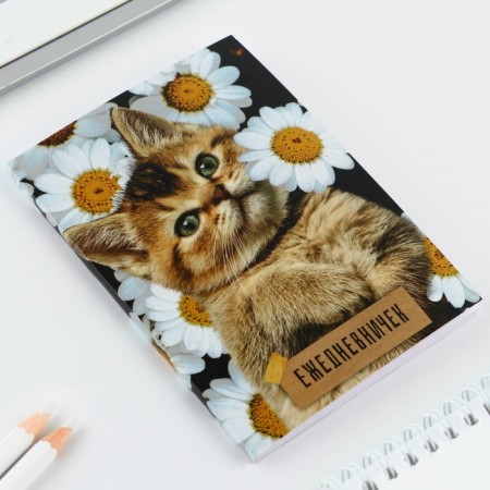Diary A6, 64 liters. "Kitty"-1