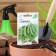 Seed peas "Sugar 2", 6 g