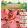Two-color lily "Tinilco", rr 12/14, 3 pcs, spring 2024