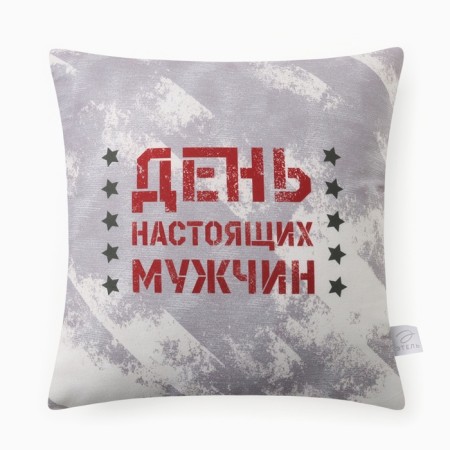 Decorative Ethel Pillow "Day of Real Men" 40x40 cm, velor, 100% p/e