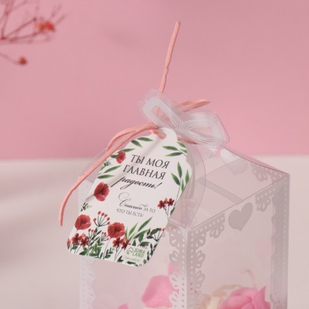 Set Gift "Bunny in the overalls" soap pink roses 5 pcs, dew 7x7x12 cm-4