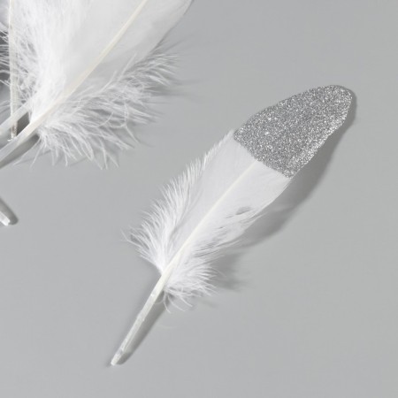 A set of goose feathers 15-20 cm, 10 pcs, white with silver chips-2