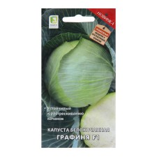 White cabbage seeds 