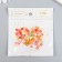 Decor for creativity Plastic "Herbers Color" set 100 pcs mix 0.6x0.6 cm