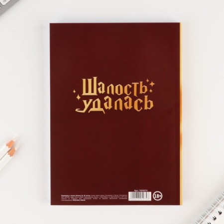Diary in a thin cover A5, 80 sheets "I think only a prank"-3
