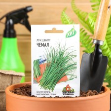 Semen onions on the greens of the shit 