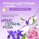 Synergetic air freshener "Iris and pink pepper" 380ml