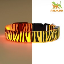 Collar with backlight tiger 3 glow mode MARD MA, Osh 32-50 x 2.5 cm Orange