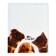 Set of covers PVC 213 x 355 mm, 140 μm, 3 pieces, "friends", for a diary and notebooks