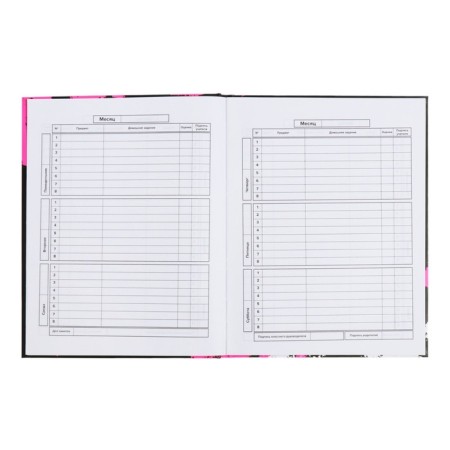 School diary for grades 1-11, 48 sheets "Rabbit Graffiti", hard cover, matte lamination, universal cheat sheet, block 65g/m2-7