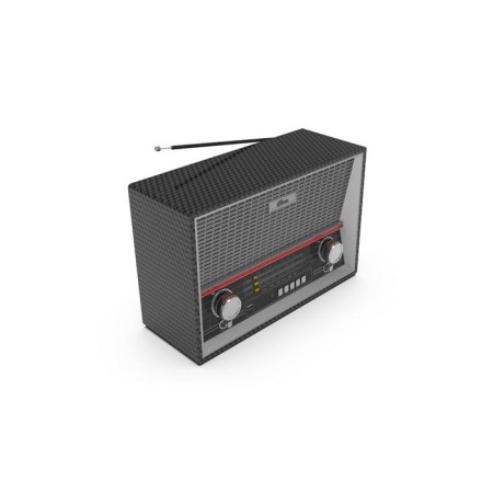 Radio receiver Ritmix RPR-102, 220 V, TT. IEC, USB, Jack 3.5, Cee, Microsd, Carbon color-2