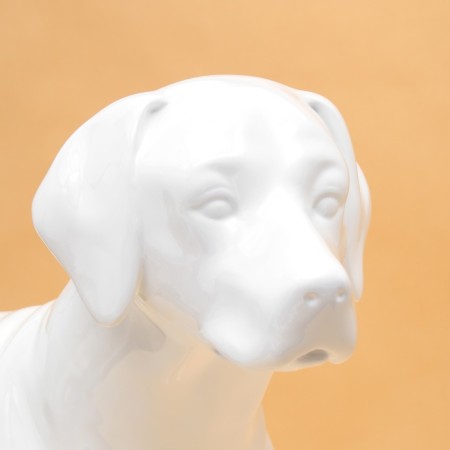 Dog mannequin, stagnant, collapsible, fiberglass, white-4