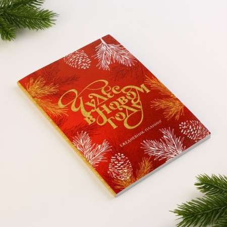 New Year. Diary-planning "Miracles in the New Year", A5, 80 liters.-4