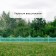 Decorative fence, 30 × 300 cm, 5 sections, plastic, turquoise, Greengo