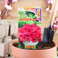 Petunia seeds mambo F1 Burgundy multi -flowered, 7 pcs