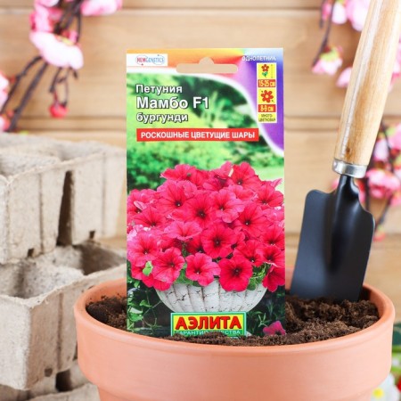 Petunia seeds mambo F1 Burgundy multi -flowered, 7 pcs