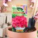 Petunia seeds mambo F1 Burgundy multi -flowered, 7 pcs