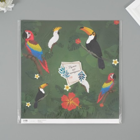 Scrapbooking paper "Exotic birds" density 180 grams set 5 pcs 30.5x32 cm-3