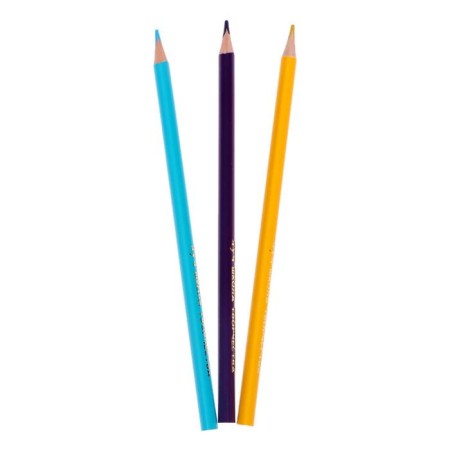 Color pencils 24 colors "School of Creativity", three -sided-3