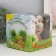 Growing gift Eco -Zhizhivchik "Kisa" Gift packaging